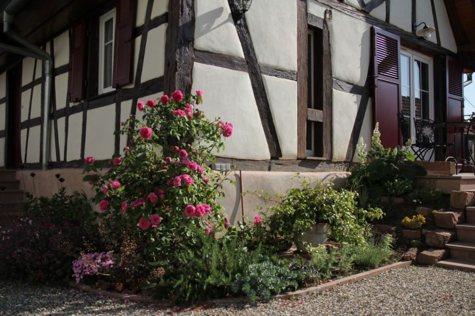 Le jardin