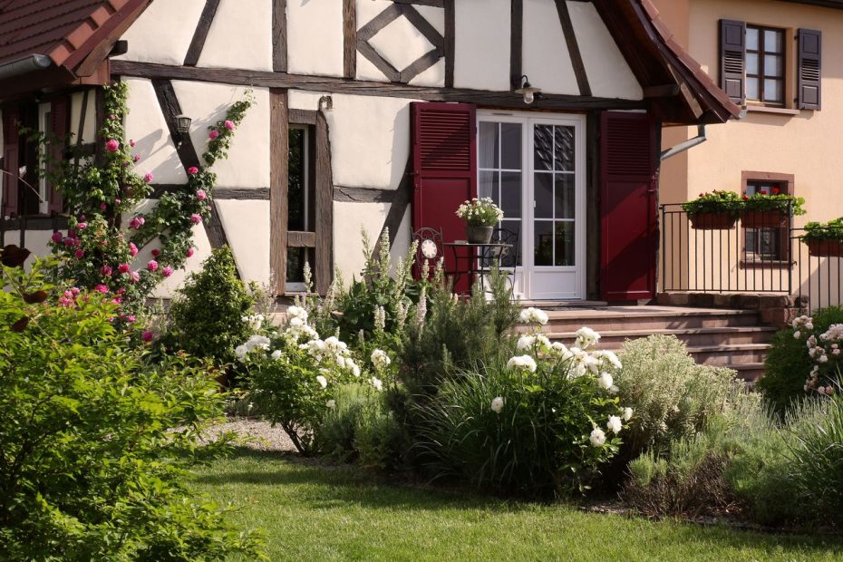 Le jardin en été devant la terrasse