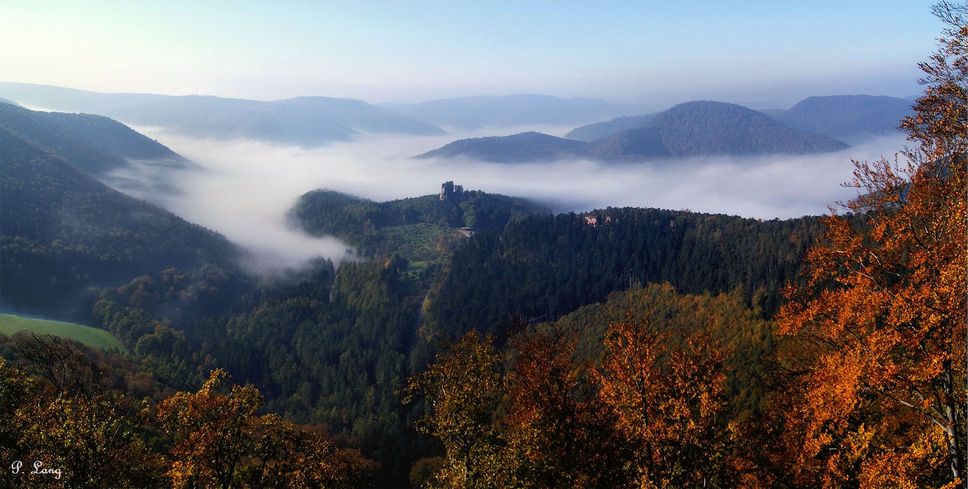 Le parc naturel régional des Vosges du Nord à proximité du gîte d'Anny et Jean Yves