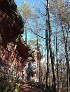Les élévation en grès dans les Vosges du Nord sur un chemin de randonnée balisé par le Club Vosgien