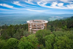 Le Chemin des Cimes dans les Vosges du Nord