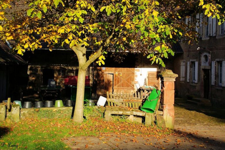 Une cour de ferme dans le Nord de L'Alsace