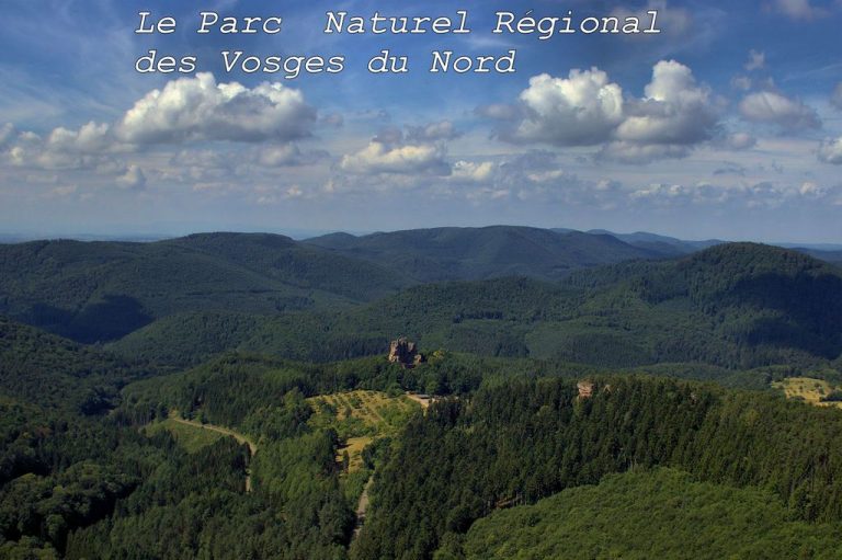 Les ruines du château de Fleckenstein dans les Vosges du Nord