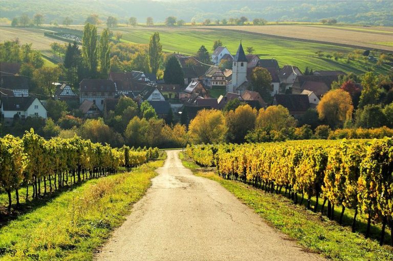 Le village de Cleebourg en touré de ses vignes