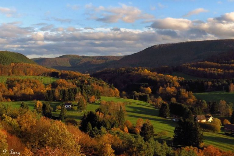 Les couleurs d'automne dans les Vosges du Nord